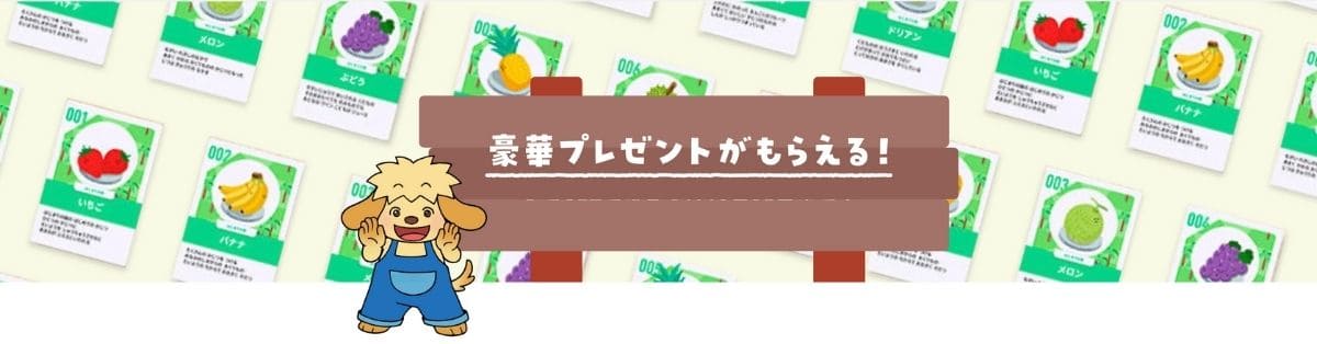 ポピーの過去キャンペーン特典